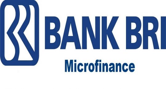 BRI Microfinance, Kemudahan Transaksi Perbankan Penduduk Desa